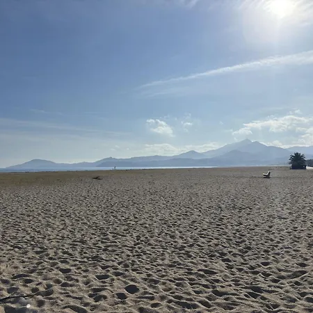 T2 Face A La Avec Terrasse Et Parking Prive A Argeles - Fr-1-309-554 Apartmán Plage dʼArgelès